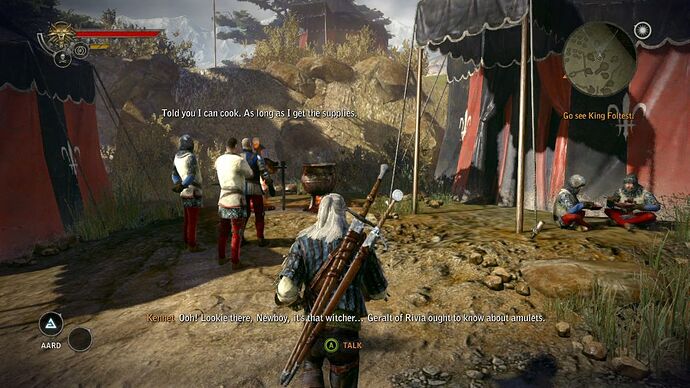 The Witcher 2 Assassins of Kings