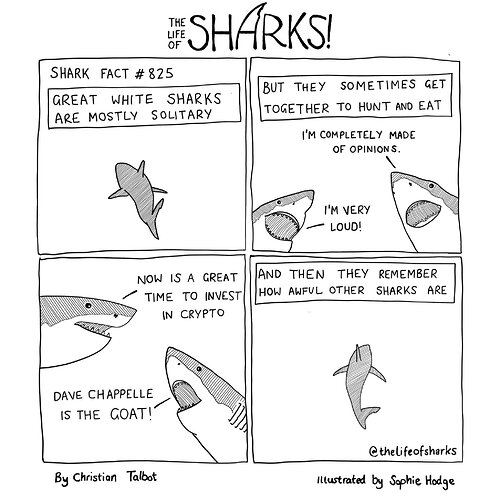 shark