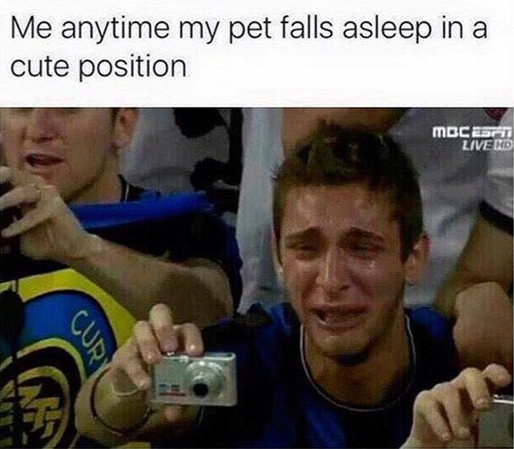 guy-crying-while-taking-a-photo-with-the-caption-me-anytime-my-pet-falls-asleep-in-a-cute-position