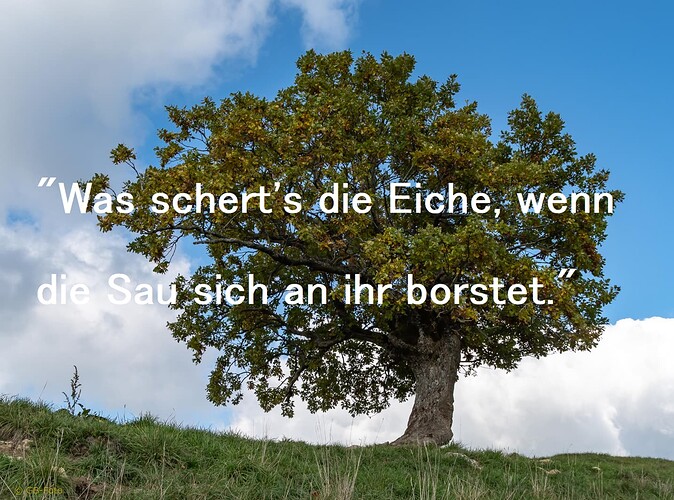 Eiche