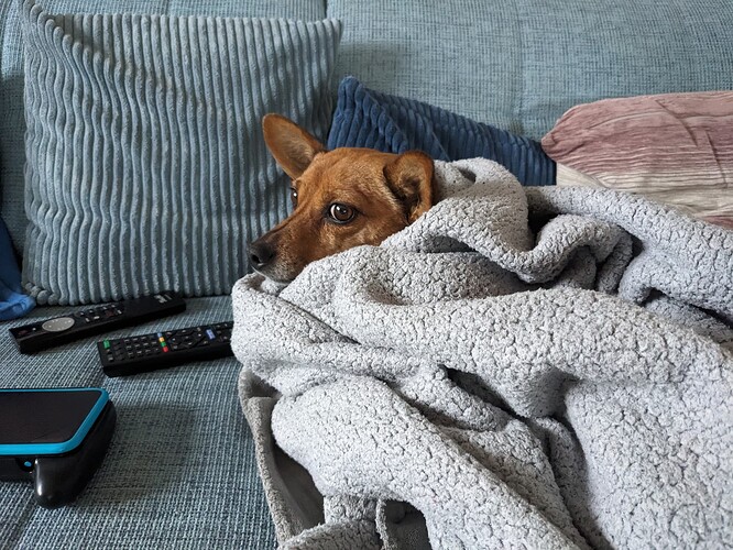 PXL_20251229_130550002