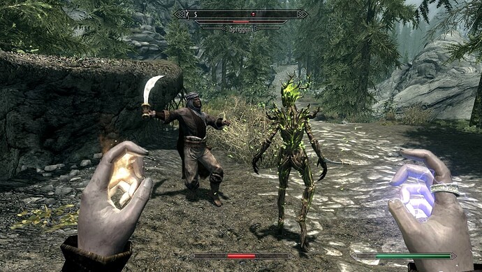 The Elder Scrolls V Skyrim