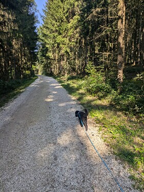 IMG-20240921