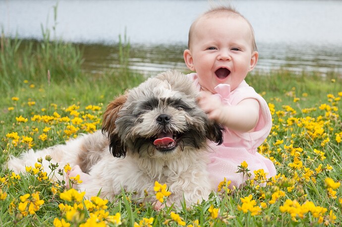dog-baby-field-flowers