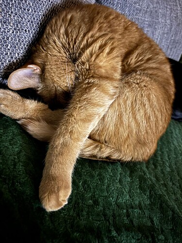 WhatsApp Image 2025-12-30 at 16.34.17