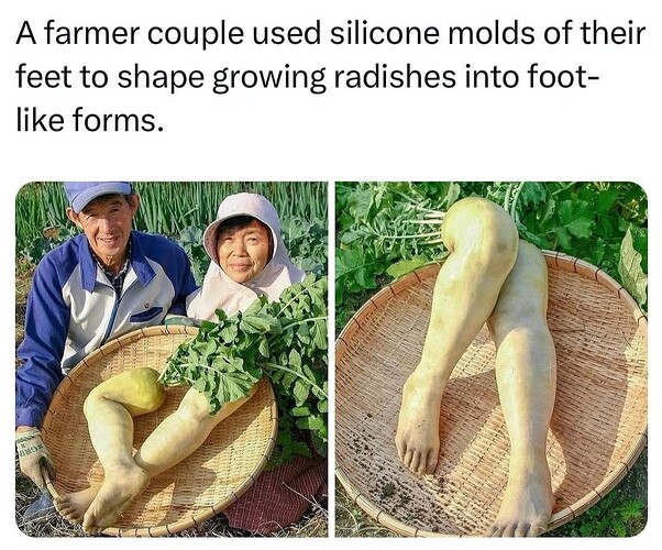 1000008966