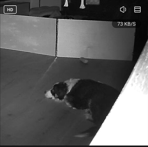 Screenshot_20260101_000212_LSC Smart Connect