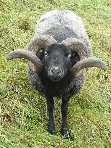 2025-11-08-15-10-13-691