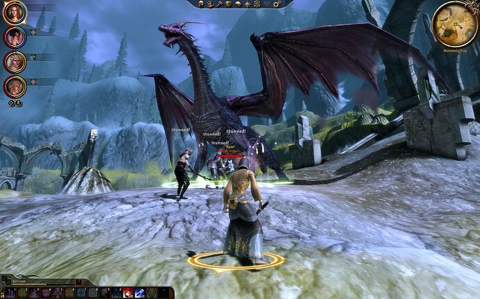 Dragon Age Origins