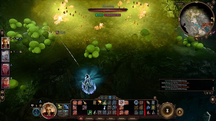 Baldur's Gate 3