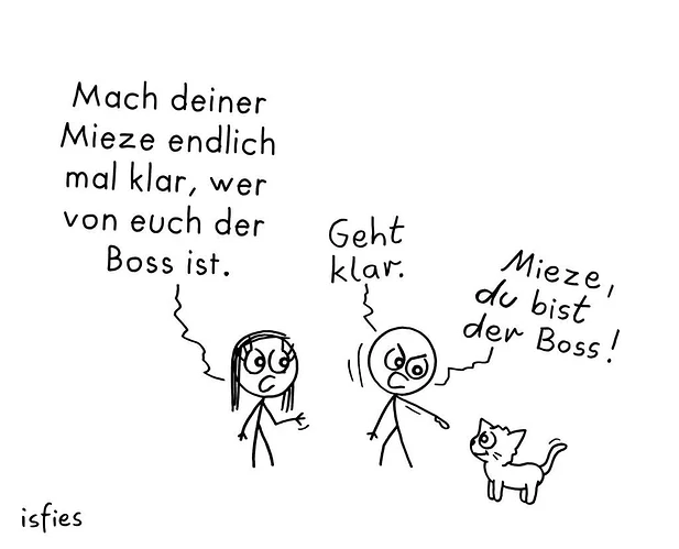 WhatsApp_Bild_2025-09-07_um_13.33.39_b7a8c6cc