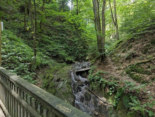 PXL_20250807_122942063