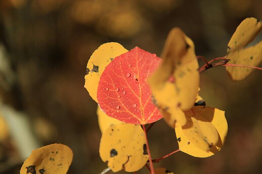 patrick-hendry-N5Dc9b1XFFw-unsplash