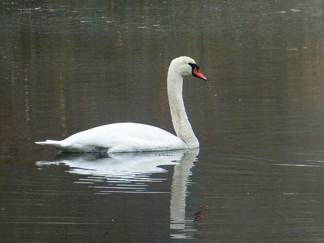 2025-11-08-15-15-36-557