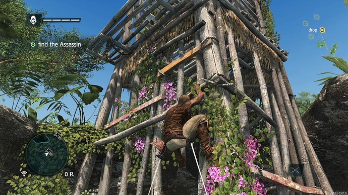 Assassin's Creed IV Black Flag