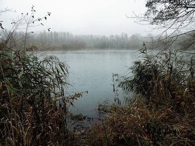 2025-11-08-15-21-27-558