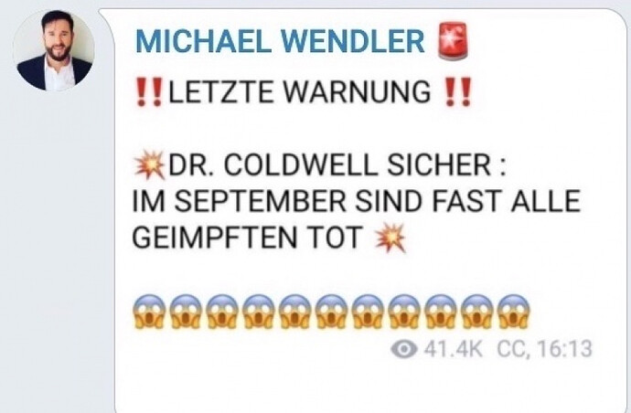 Michael-Wendler-Telegram