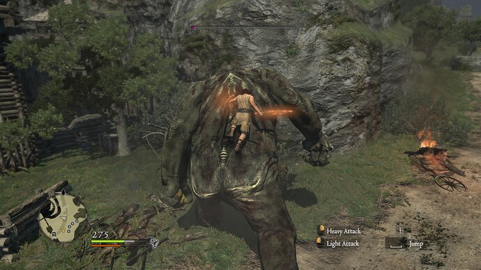 Dragon's Dogma