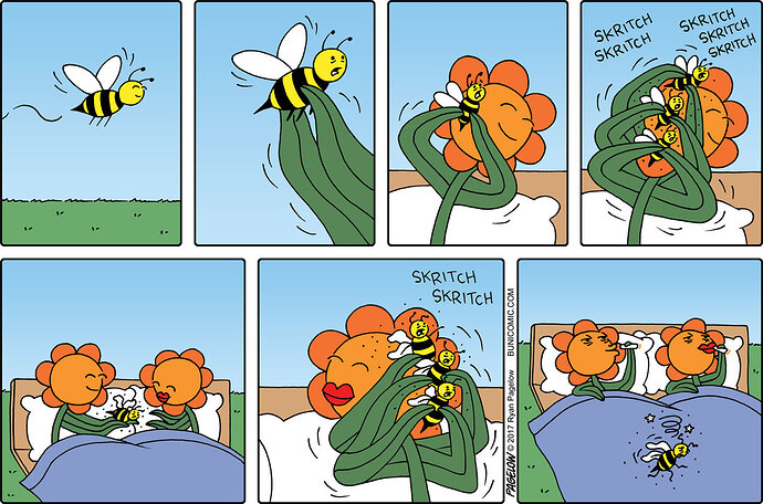 2017-03-27-Buni2