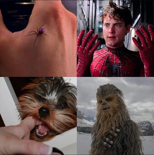 Bildschirmfoto_6-8-2025_182247_img-9gag-fun.9cache.com