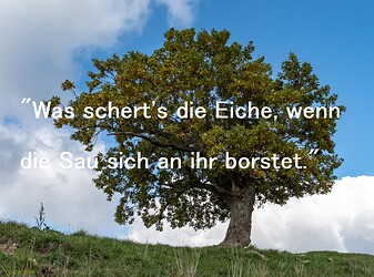 Eiche