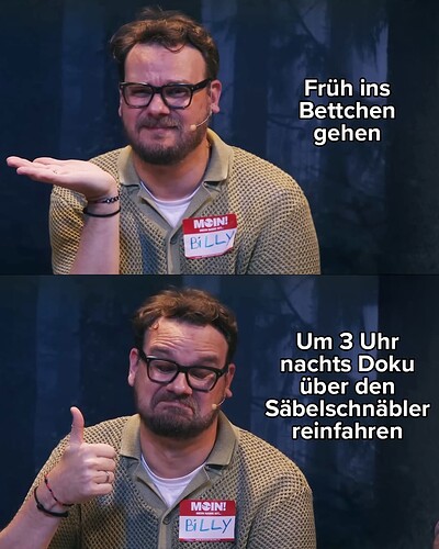 Säbelschnäbler