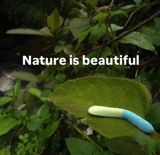 545065356_10234631446020027_2644083287184765886_n