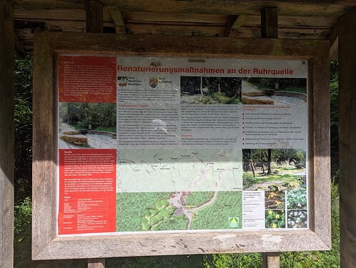 PXL_20250807_134034217