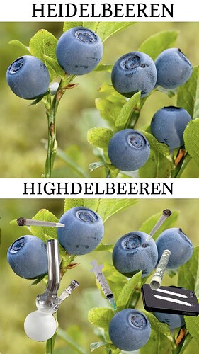 Highdelbeeren