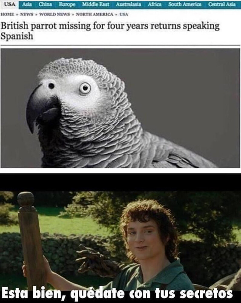 Eure TopMemes zum Thema Vögel (StreamShow “Meme Master” im August