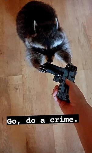 crime