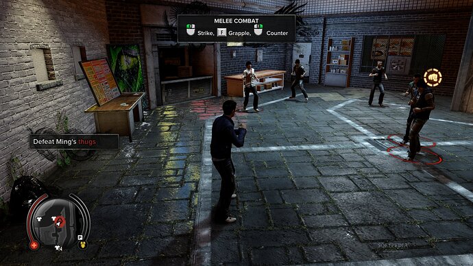 Sleeping Dogs
