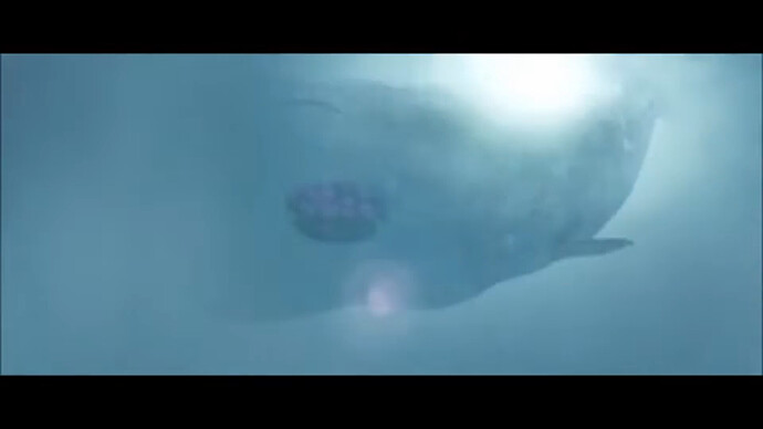 HHGGWhale