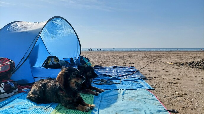 Hundestrand Ijmuiden