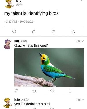 my-talent-is-identifying-birds-okay-what-s-this-one-yep-it-261955