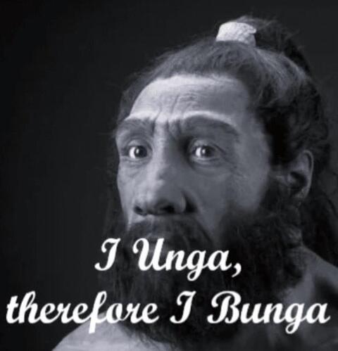 unga