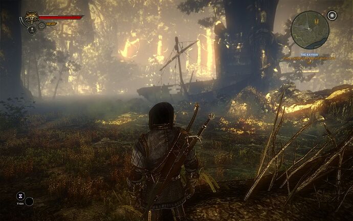 The Witcher 2 Assassins of Kings