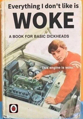 what-engine-is-this-i-dont-want-to-be-woke-v0-ur477kjk7m1d1