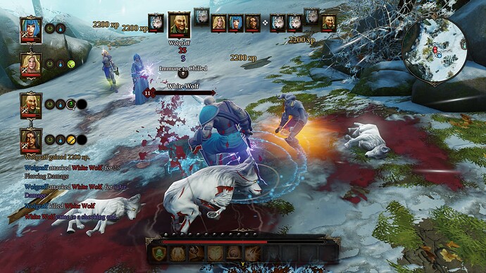 Divinity Original Sin