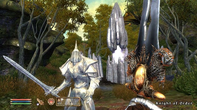 The Elder Scrolls IV Oblivion