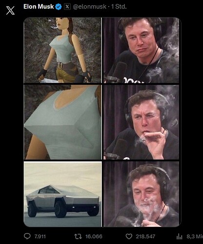 musk2