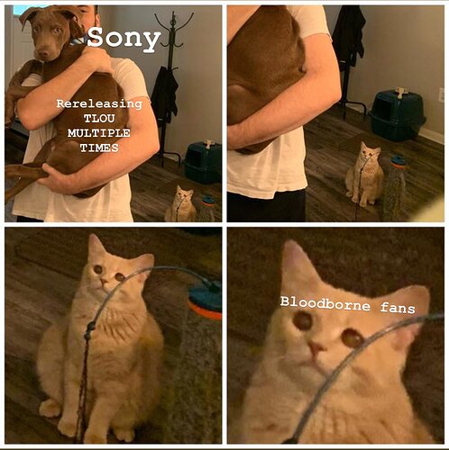 bb