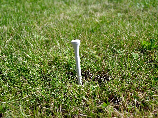 White_golf_tee_on_grass