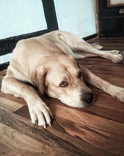 IMG_20230708_182550_657-01