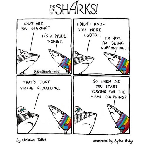 shark