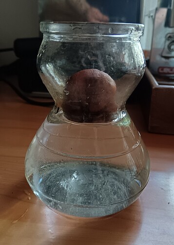 IMG_20250814_155853_edit_228919282189644