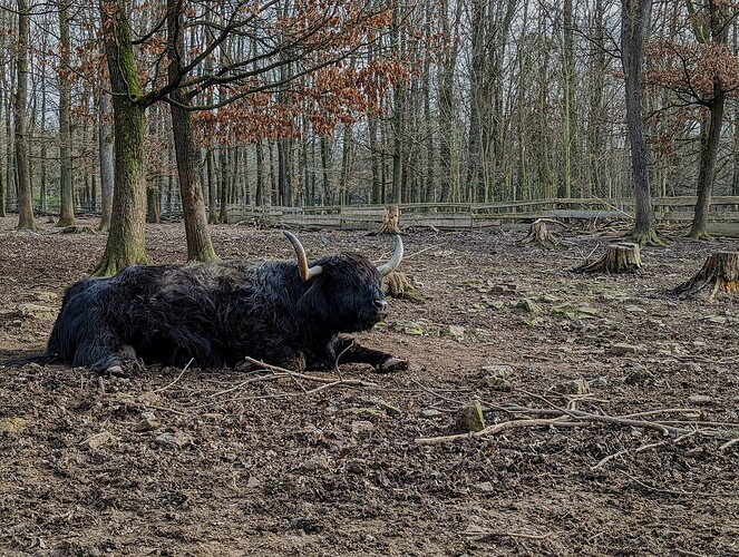 PXL_20230222_143913061~2