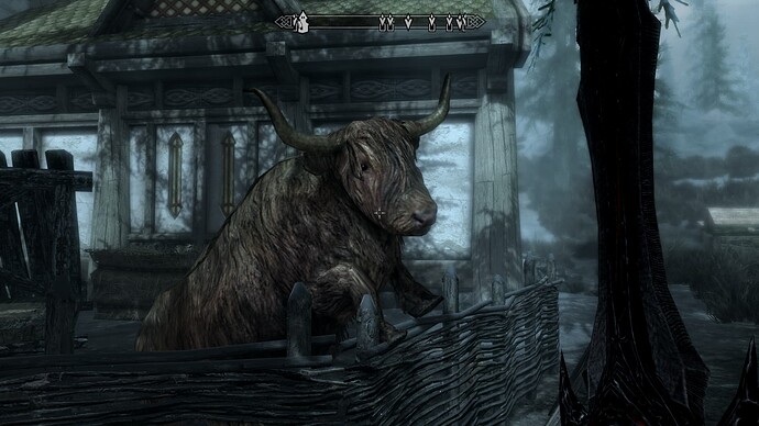 The Elder Scrolls V Skyrim