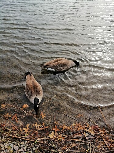 IMG_20220312_124006