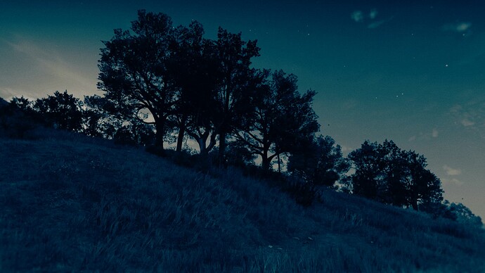 Red Dead Redemption 2 Screenshot 2024.08.15 - 02.41.07.25